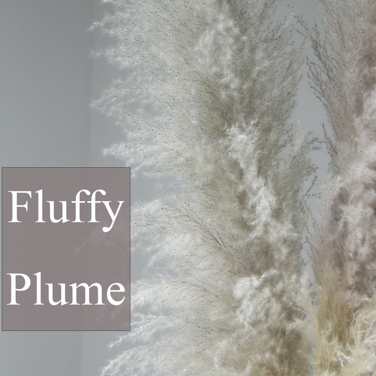 Super Low Prices Large Pampas Natural Dry Flower Dried Pampas Grass For Decoration