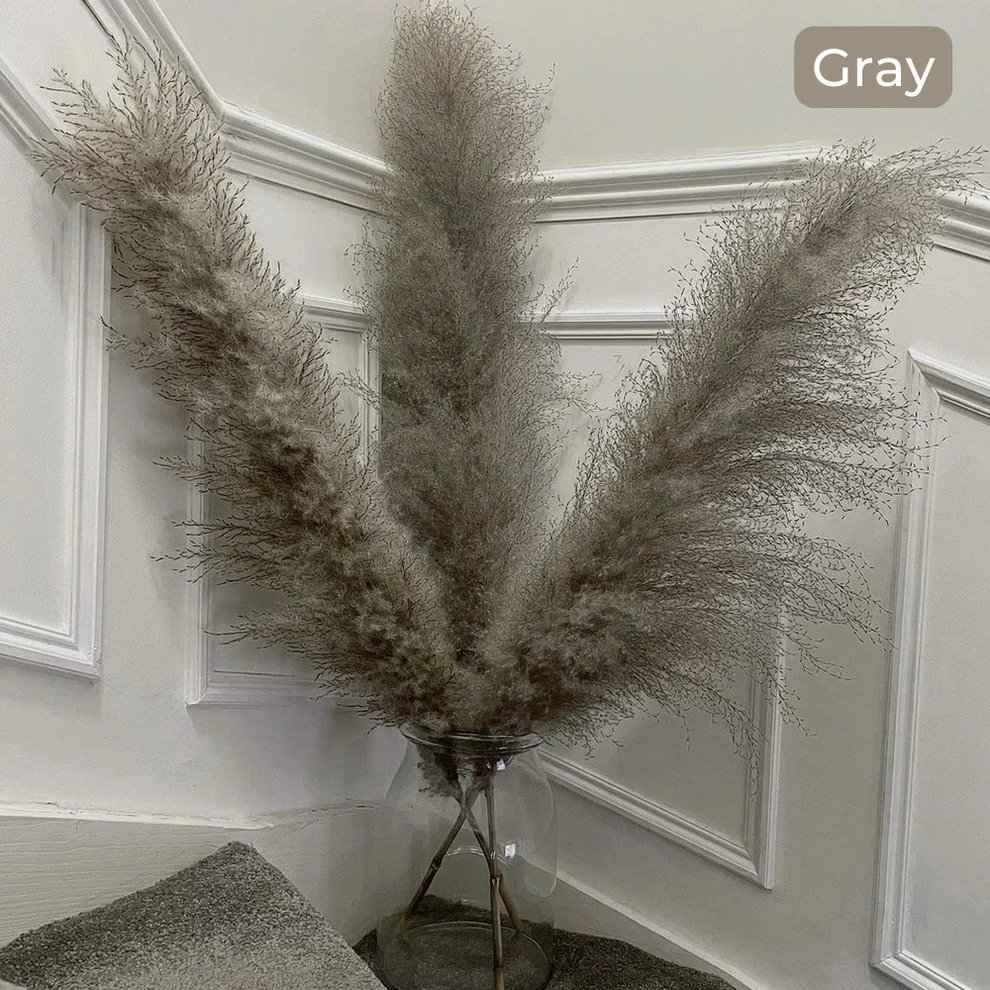 Super Low Prices Large Pampas Natural Dry Flower Dried Pampas Grass For Decoration
