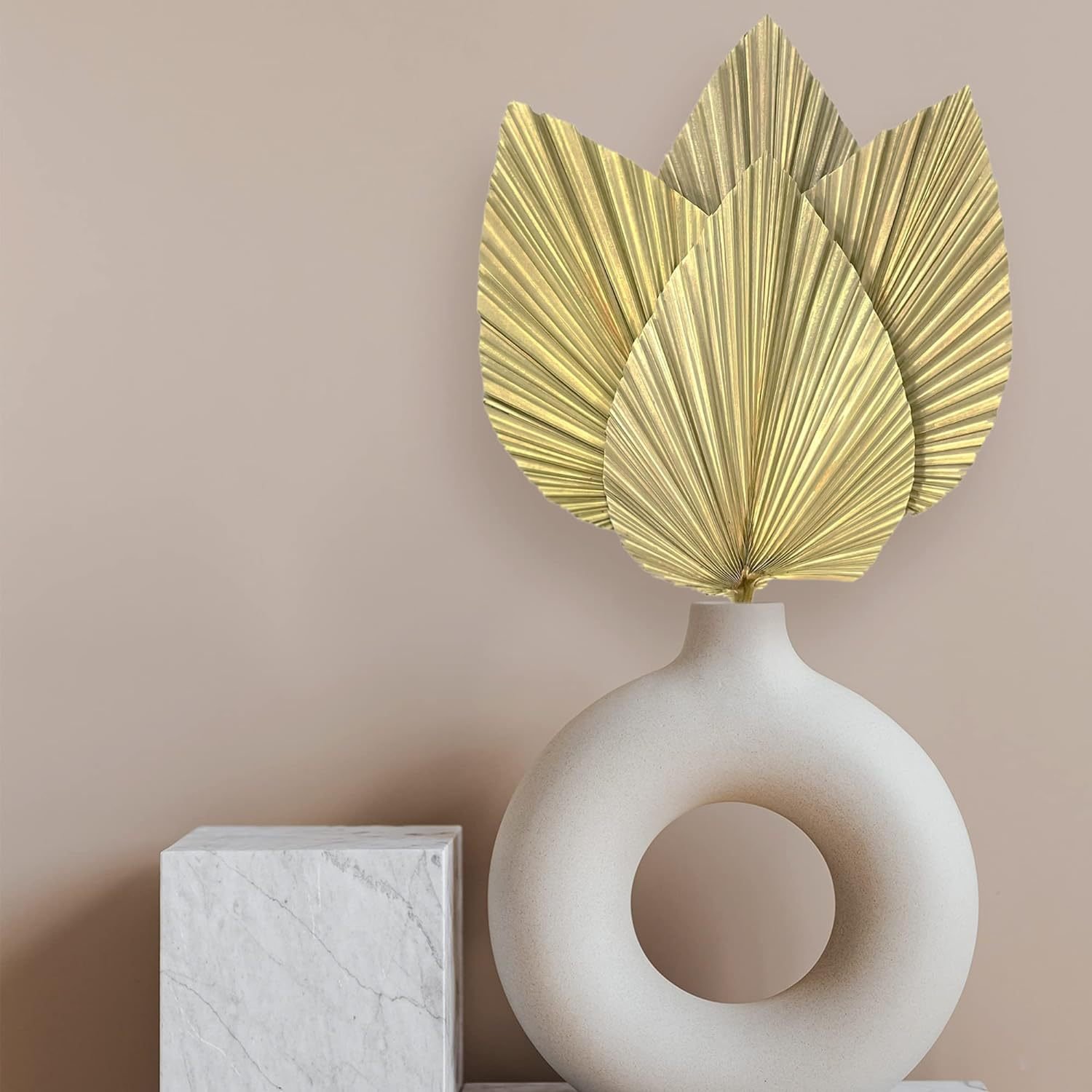 Factory Wholesale Large Livistona Leaf Pure Natural Dried Flower Cattail Fan 44*25cm for Wedding or Home Interior Decoration