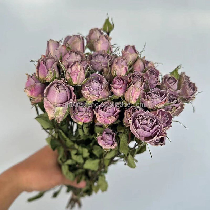 Real natural dried flowers and plants dry rose flower home decoration long lasting fashion dried rose vase flower