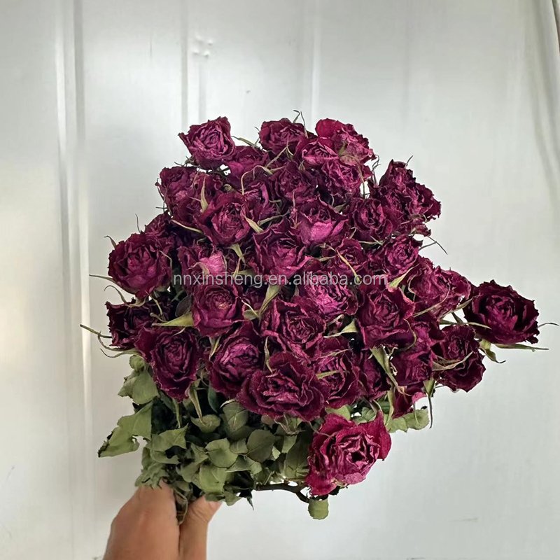 Real natural dried flowers and plants dry rose flower home decoration long lasting fashion dried rose vase flower