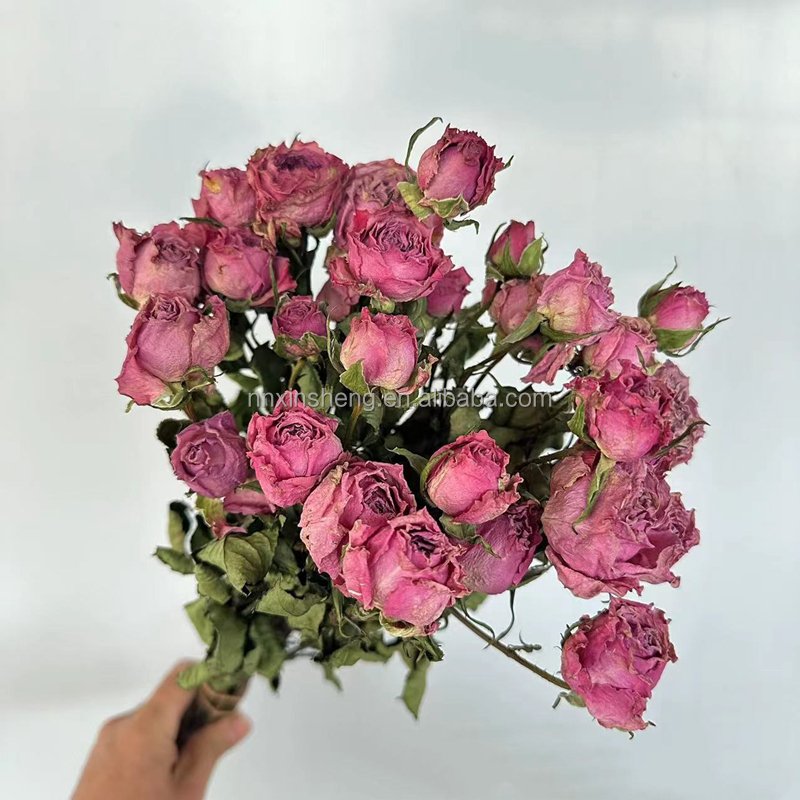 Real natural dried flowers and plants dry rose flower home decoration long lasting fashion dried rose vase flower
