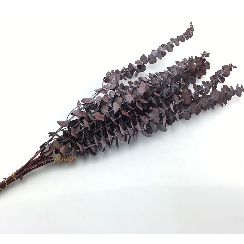 Hot Selling Dried Leaves Flower Artificial Eucalyptus Leaves For Decor