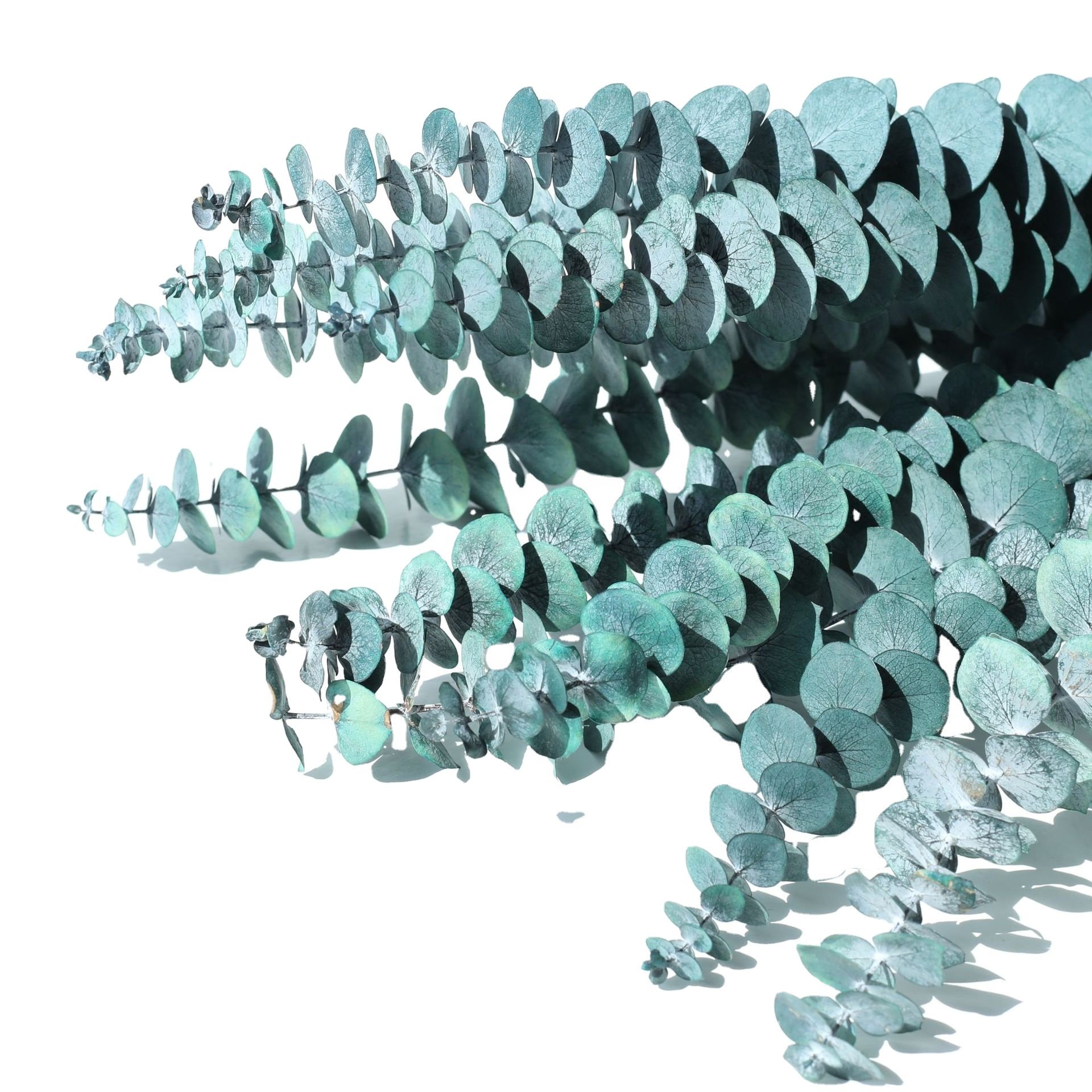 Hot Selling Dried Leaves Flower Artificial Eucalyptus Leaves For Decor