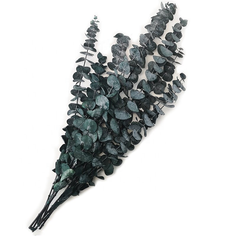 Hot Selling Dried Leaves Flower Artificial Eucalyptus Leaves For Decor