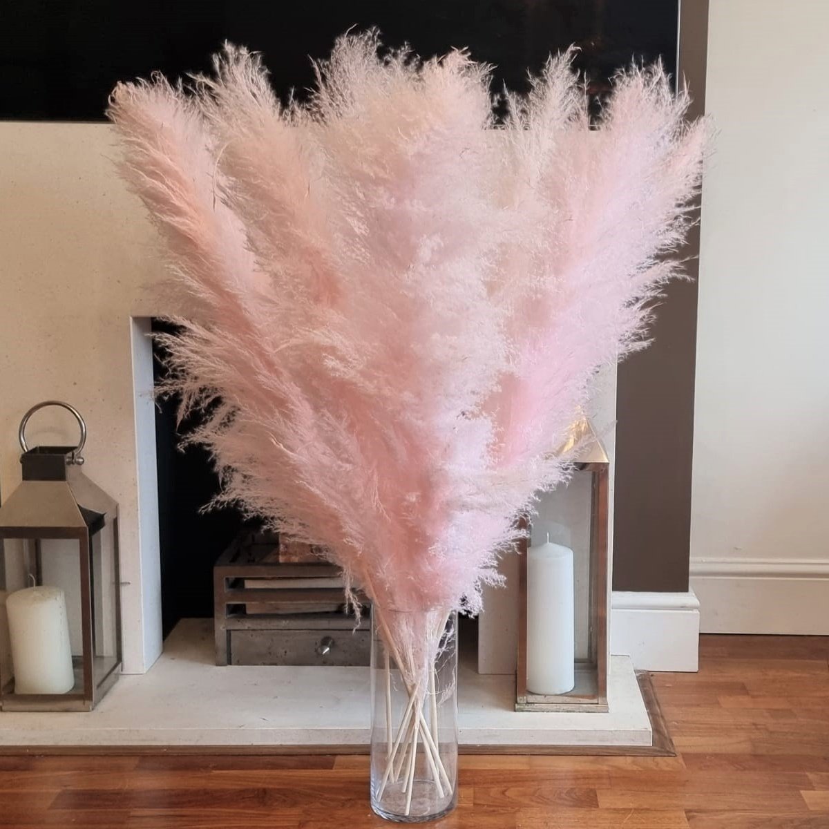 Gray Pampas Grass Large Flowers Bouquet Fluffy Dried Pompous Grass Floral Decoration Tall Natural Pampas Grass