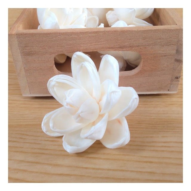 Wholesale Magnolia Lotus Sola Wood Flowers Handicraft Artificial Dried Dried Flowers for Home Decor Reed Diffuser Thailand Gifts