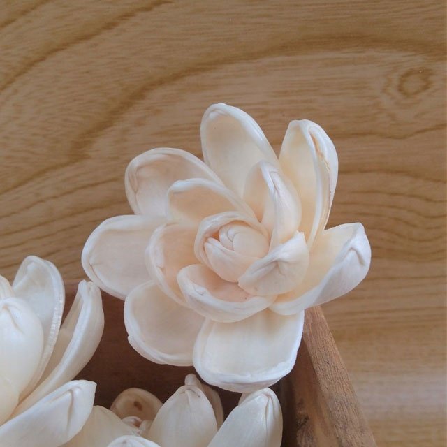 Wholesale Magnolia Lotus Sola Wood Flowers Handicraft Artificial Dried Dried Flowers for Home Decor Reed Diffuser Thailand Gifts
