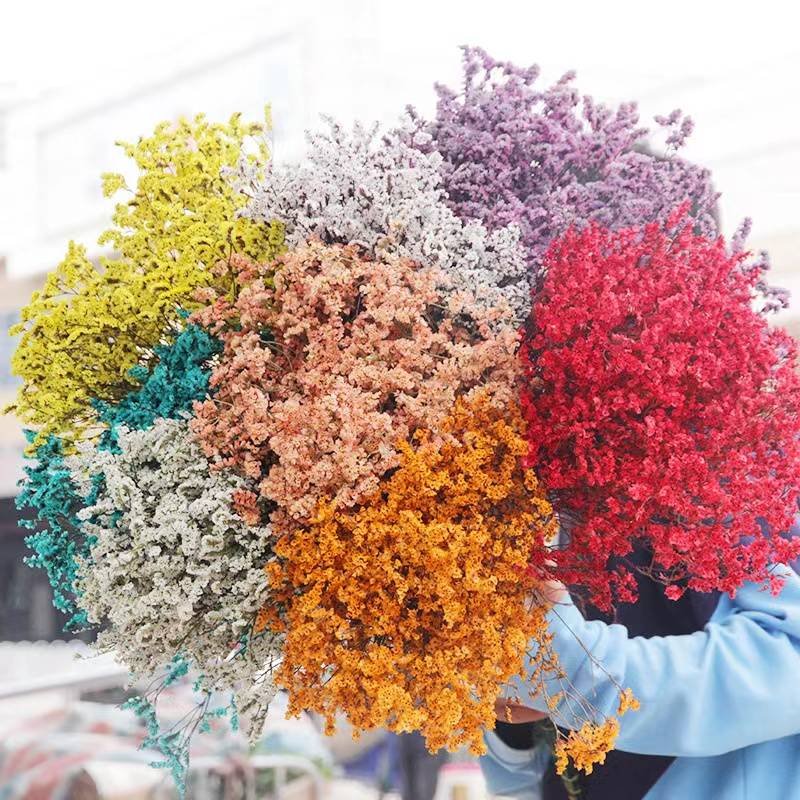 PPF07 Crystal Flower Preserved flower gypsophila babysbreath Dried baby's breath flower dry baby's breath for wedding decoration