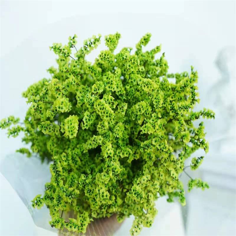 PPF07 Crystal Flower Preserved flower gypsophila babysbreath Dried baby's breath flower dry baby's breath for wedding decoration
