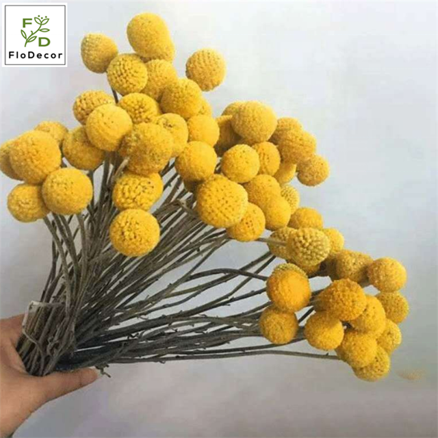 10pcs Per Bundle Natural Yellow Dried Golden Ball Natural Bouquet Dry Flowers for Home Decor Shop Decoration