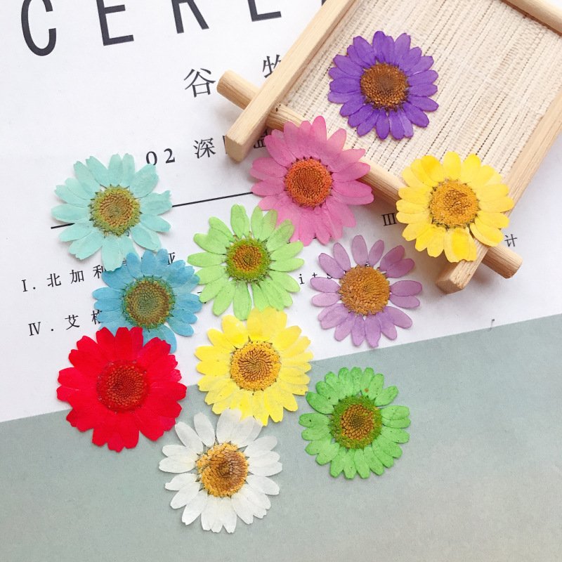 Hot Selling 100% Natural Real Dried Flower Pressed Daisy Flowers For Resin