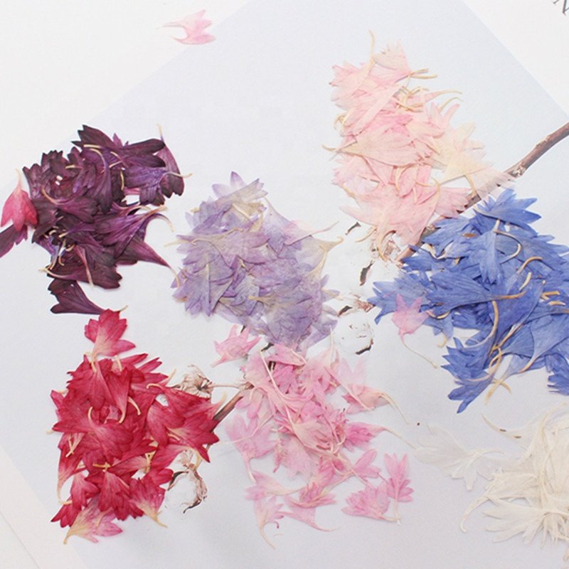 MNR1942 mini size dried pressed flower petals for DIY materials