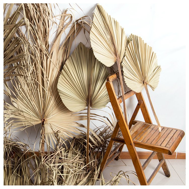 Natural Color Dried Flower Big Dried Palm Leaves For Wedding Decoration Flower