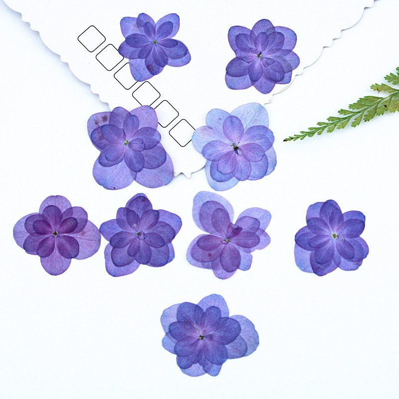 Light Purple Pressed Dried Flowers Double Hydrangea for Resin Craft Candle Making Decoration DIY Phone Shell