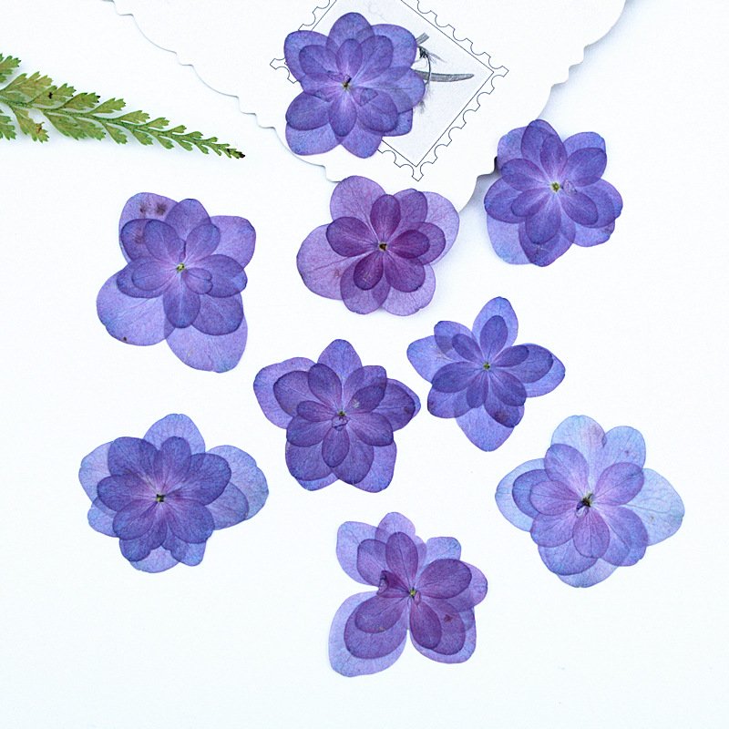 Light Purple Pressed Dried Flowers Double Hydrangea for Resin Craft Candle Making Decoration DIY Phone Shell