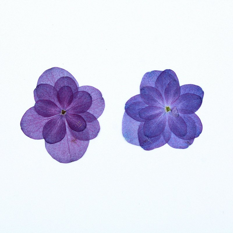 Light Purple Pressed Dried Flowers Double Hydrangea for Resin Craft Candle Making Decoration DIY Phone Shell