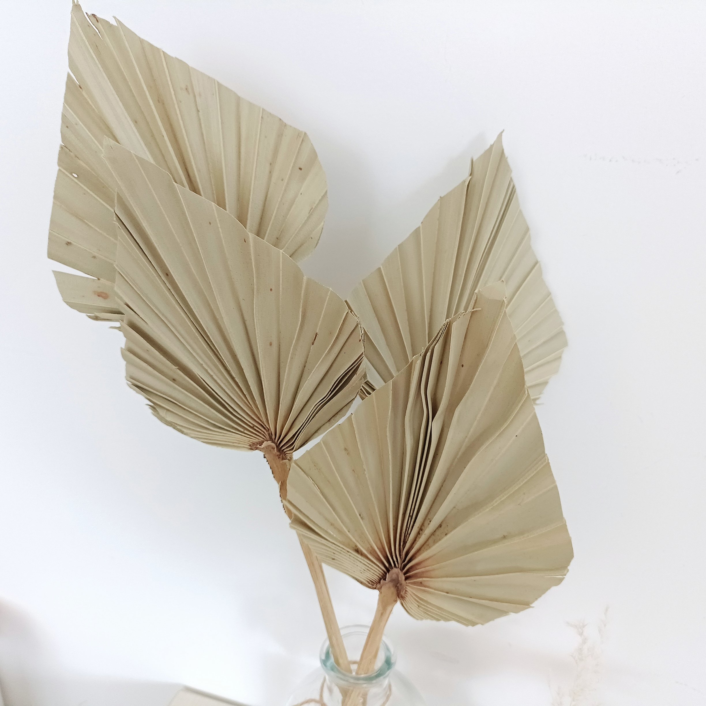 2024 most popular dried palm leaves palm leaves palm leaf Decorative Flowers for Home Decoration