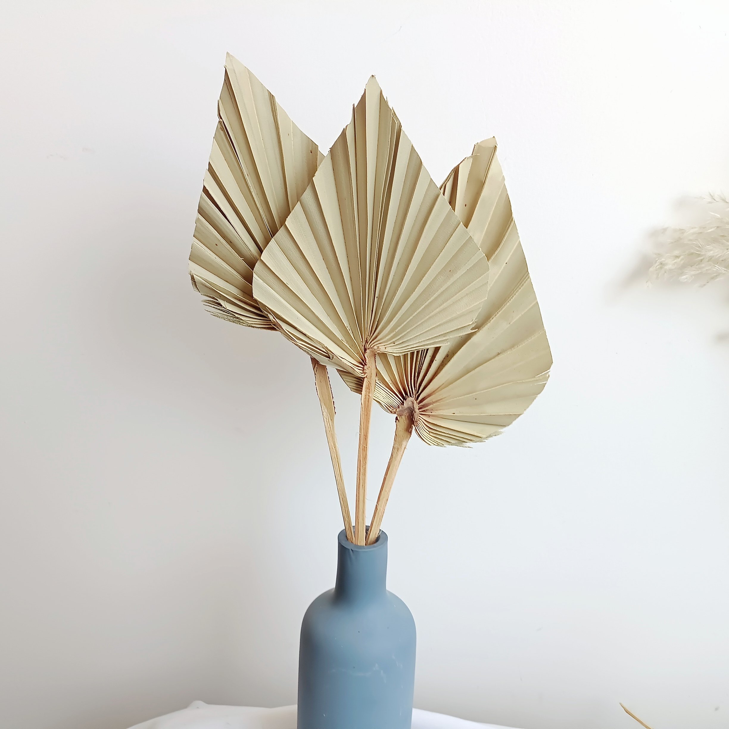 2024 most popular dried palm leaves palm leaves palm leaf Decorative Flowers for Home Decoration