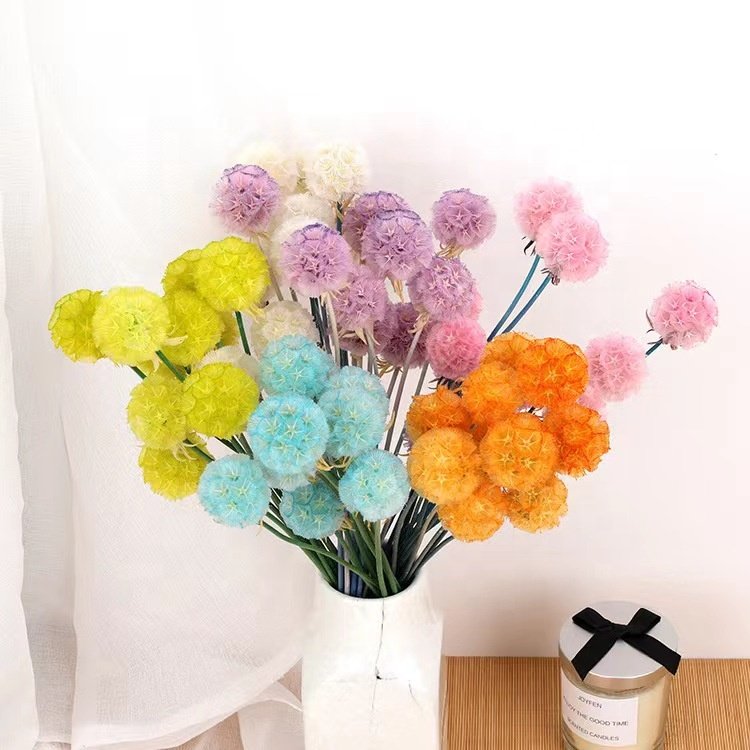 The hot selling flowers Wholesale dried windmill fruit flower for home decor/for wedding decoration and flower arrangement