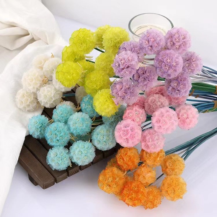 The hot selling flowers Wholesale dried windmill fruit flower for home decor/for wedding decoration and flower arrangement