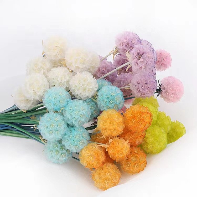 The hot selling flowers Wholesale dried windmill fruit flower for home decor/for wedding decoration and flower arrangement