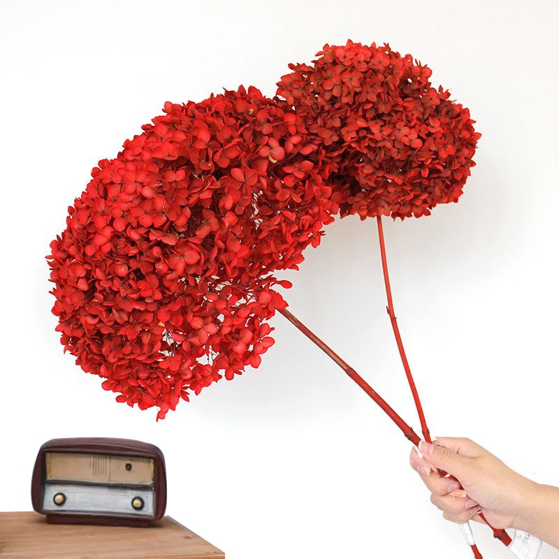 HFlora big petal natural dried flower real touch preserved hydrangea flower