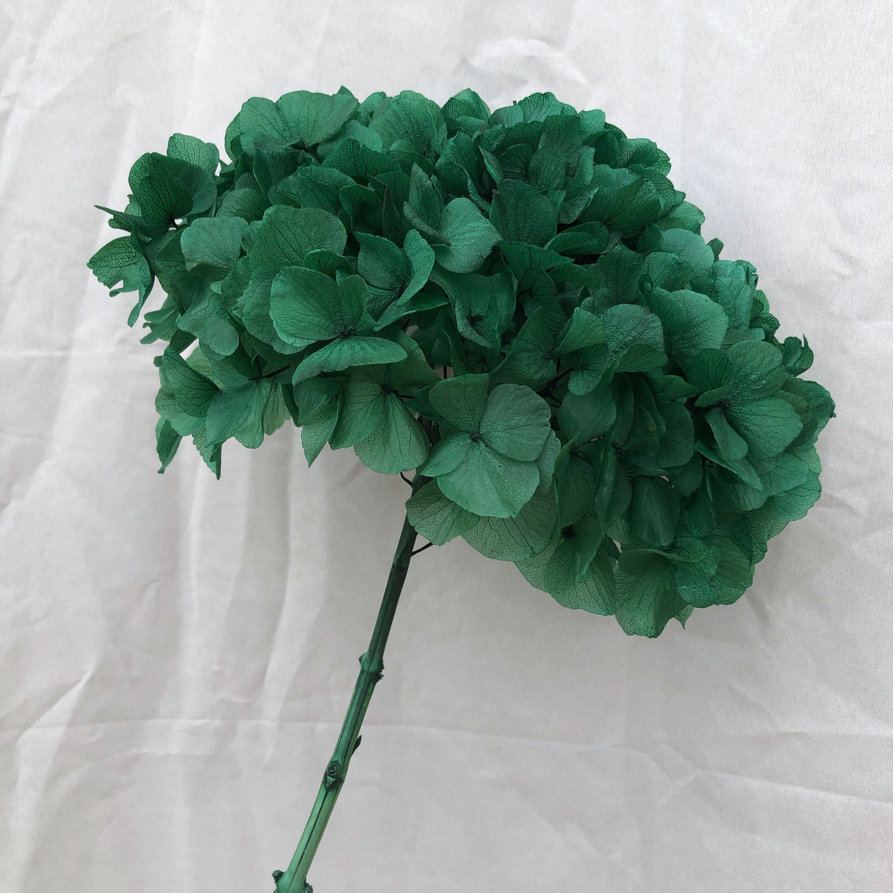 Wedding Flower Supplier Large Leaf Stem Hydrangea Flower Decorative Realistic Retro Hydrangea Preserved Black Eternal Flower