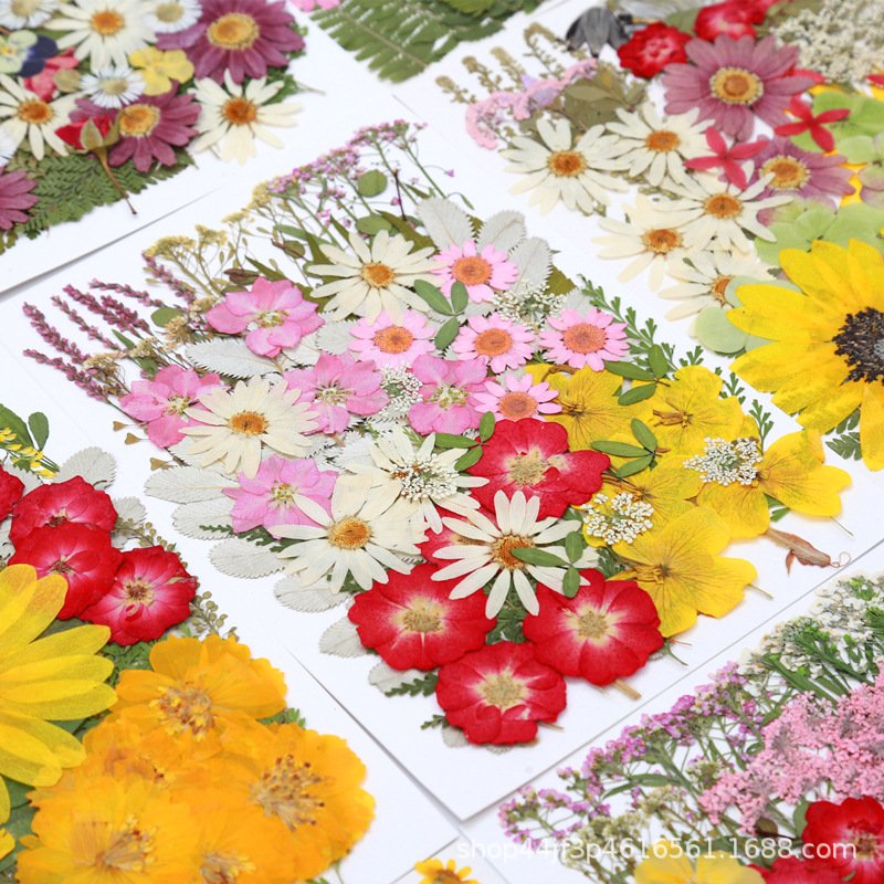 Cheap Crafts Art Diy Mixed Dry Flowers Real Natural Dried Pressed Flowers For Resin