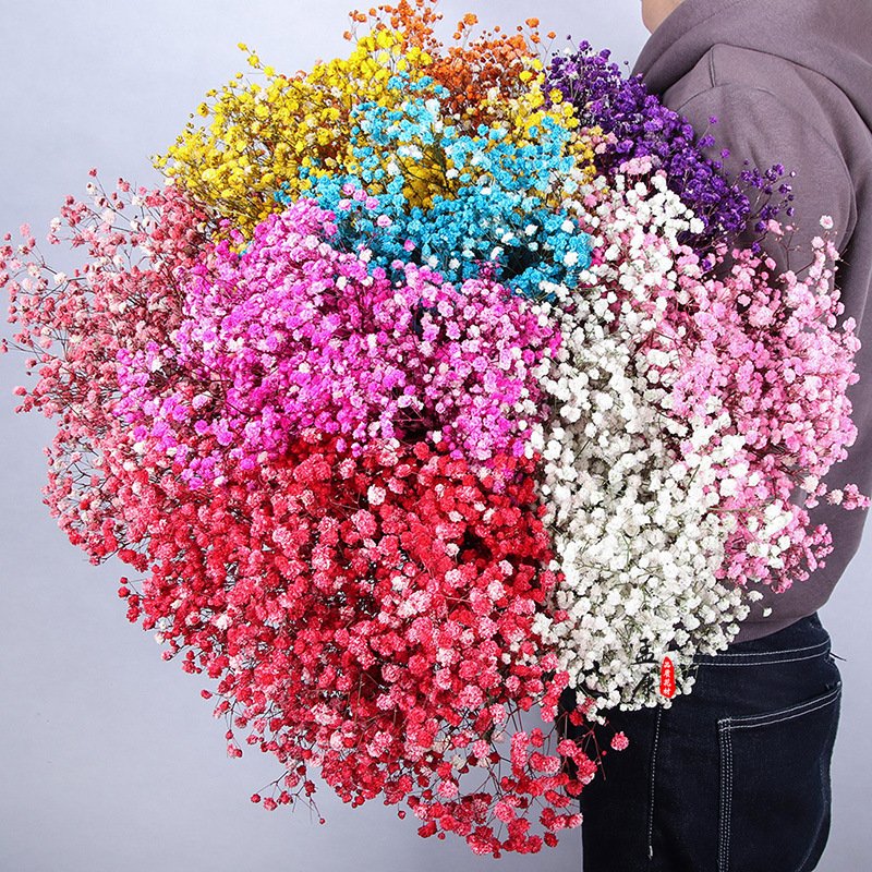 Factory Wholesale dried Natural Dried baby breath flower for wedding home party decor