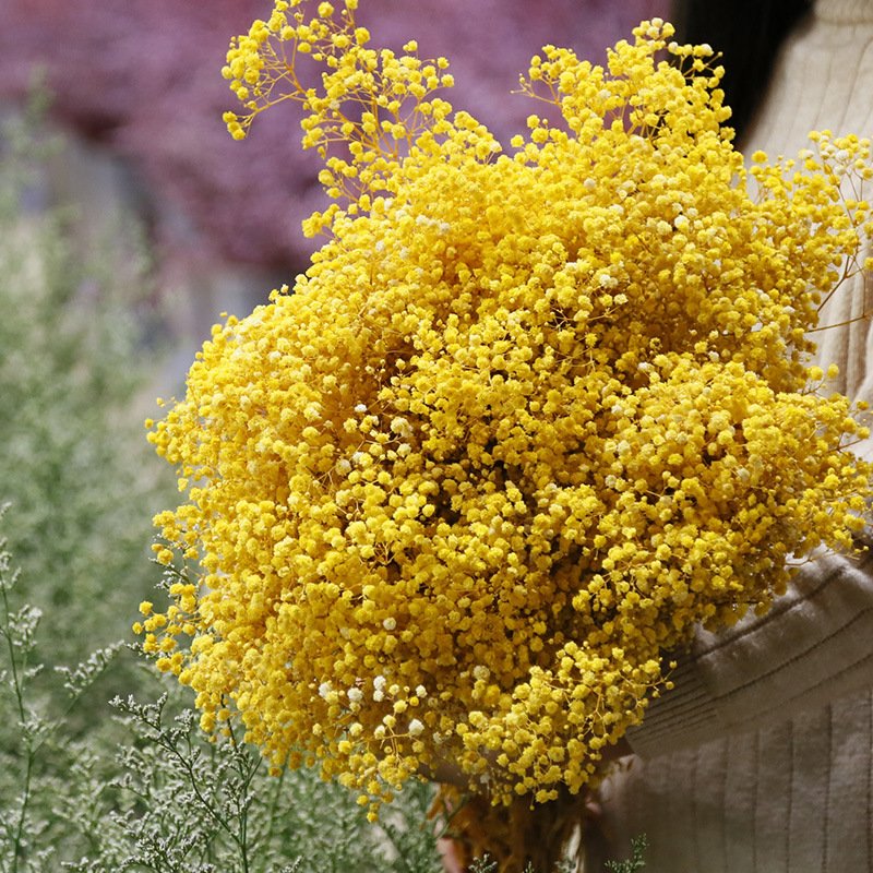 Factory Wholesale dried Natural Dried baby breath flower for wedding home party decor