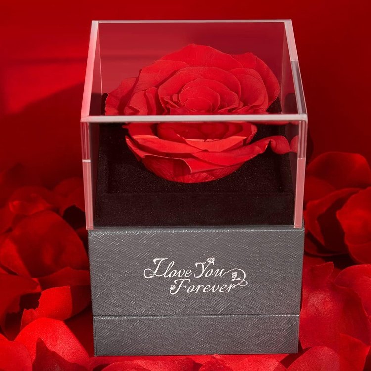 Best selling products 2023 dried flower eternal acrylic rose gift box