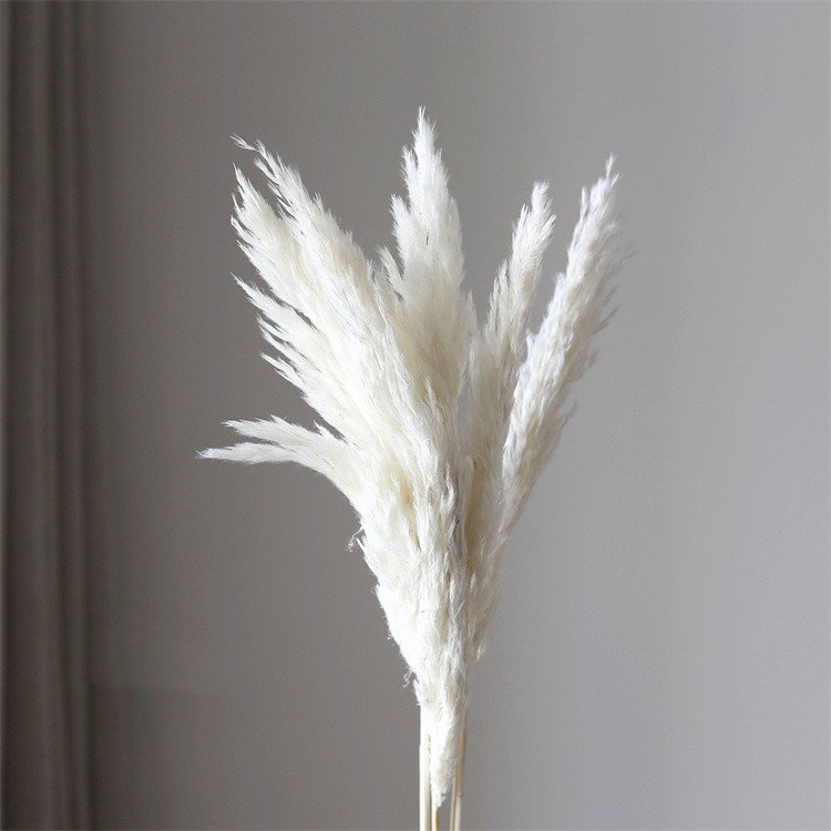 Boho Wedding Decoration Large Plume Natural Dried Flowers Pampas Grass