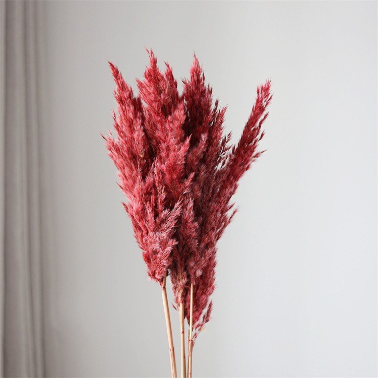 Boho Wedding Decoration Large Plume Natural Dried Flowers Pampas Grass