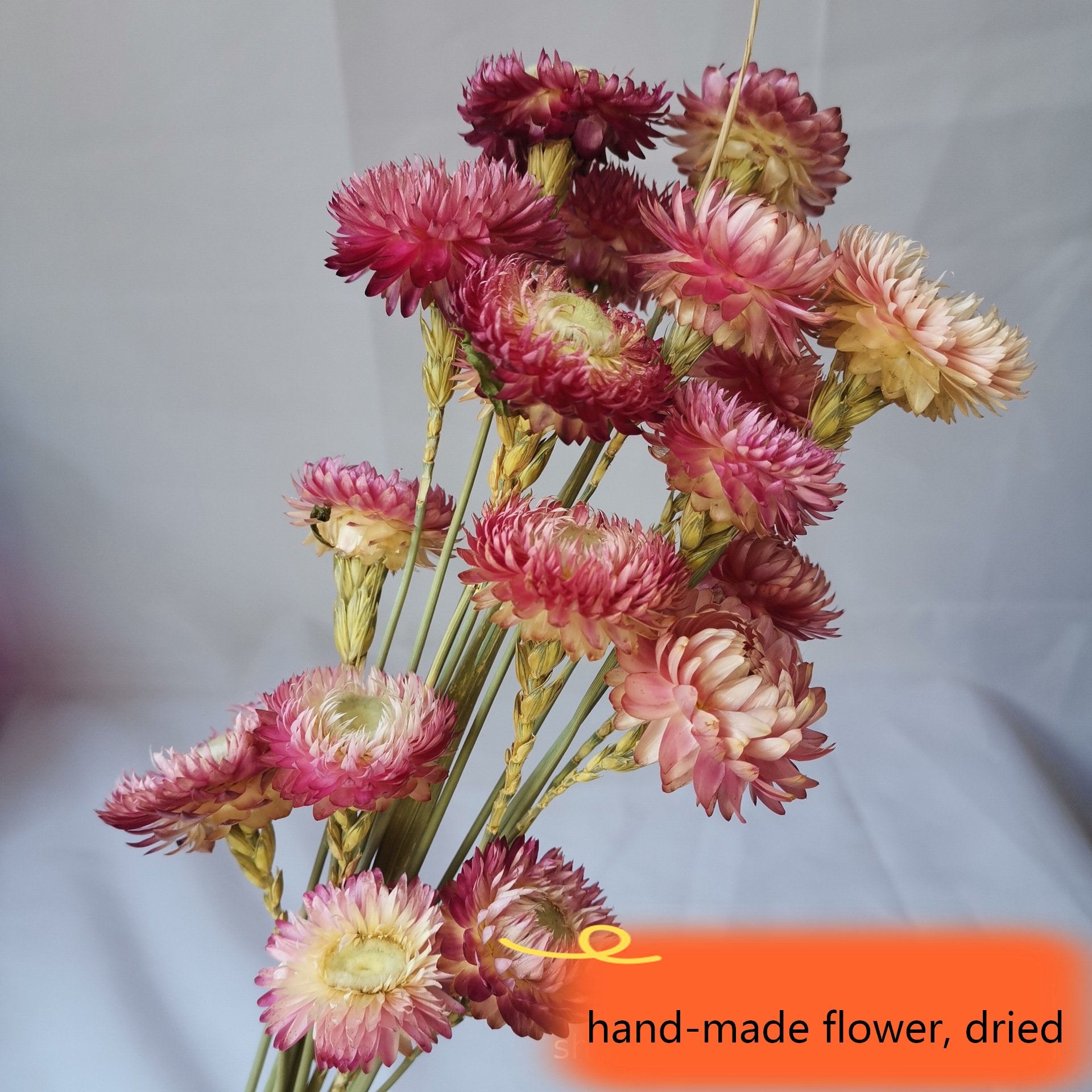 Dried natural daisy straw flower colorful chrysanthemum Helichrysum bracteatum bouquet, for decoration