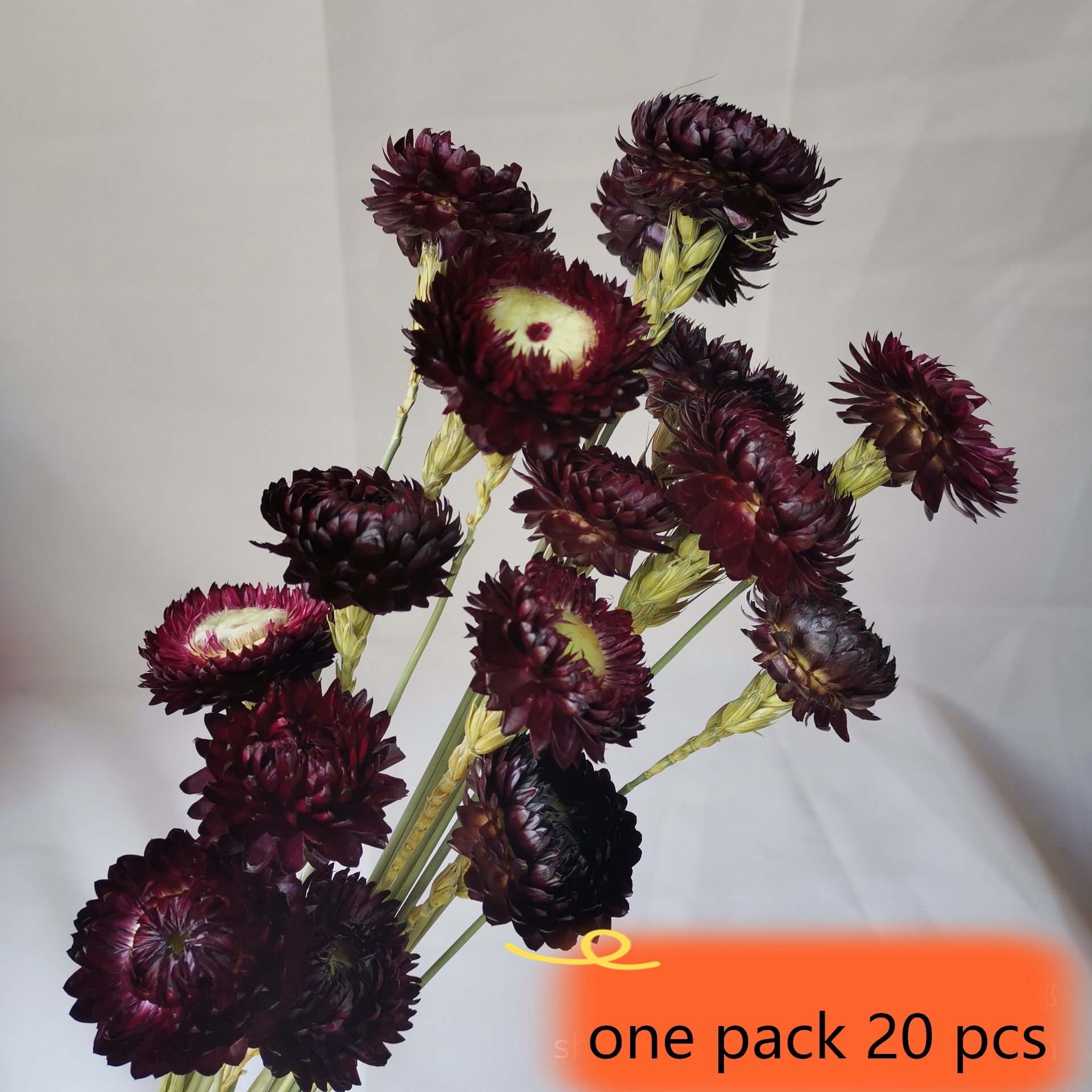 Dried natural daisy straw flower colorful chrysanthemum Helichrysum bracteatum bouquet, for decoration