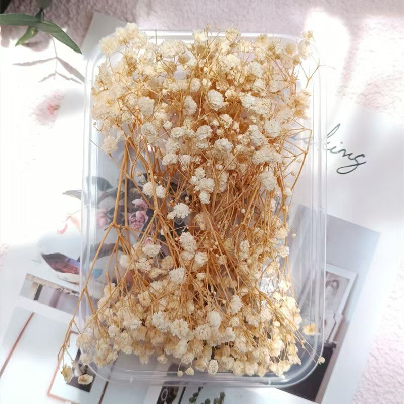 Eternal Baby's Breath Flower Greeting Card Gift Box Packaging Box Decorative Flower Dried Flower DIY Gypsophila Material Package