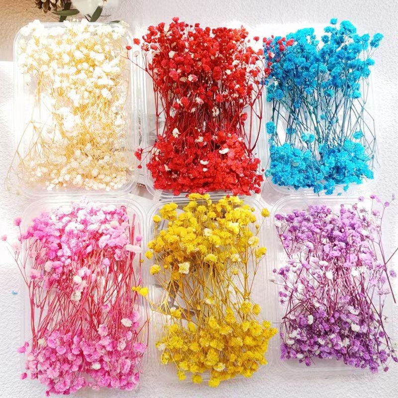 Eternal Baby's Breath Flower Greeting Card Gift Box Packaging Box Decorative Flower Dried Flower DIY Gypsophila Material Package