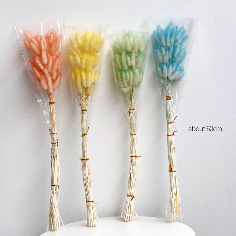GH-053 white pink hare tail grass lagurus ovatus rabbitail herb naturel pampas grass bunny tails dried flowers grass decor