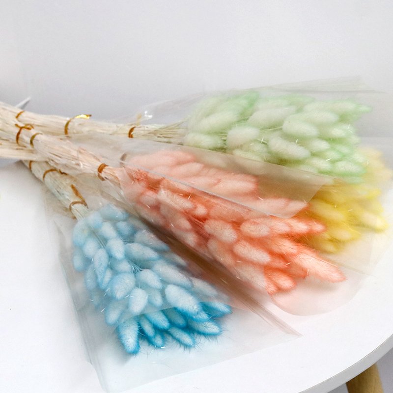 GH-053 white pink hare tail grass lagurus ovatus rabbitail herb naturel pampas grass bunny tails dried flowers grass decor