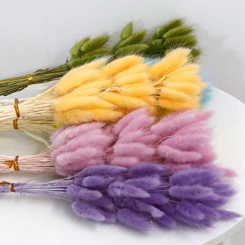 GH-053 white pink hare tail grass lagurus ovatus rabbitail herb naturel pampas grass bunny tails dried flowers grass decor
