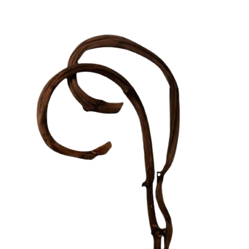 High Quality Wholesale Natural Banana Stick for Crafts, DIY, Events Decor, Bouquets & Other Floral Arrangements
