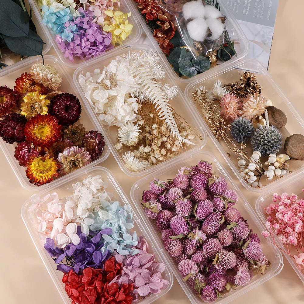INTODIY Hot Sell Pressed Dry Flowers Naturl Mixed Random Dried Flower For DIY Epoxy Resin Craft Nail Art Materials