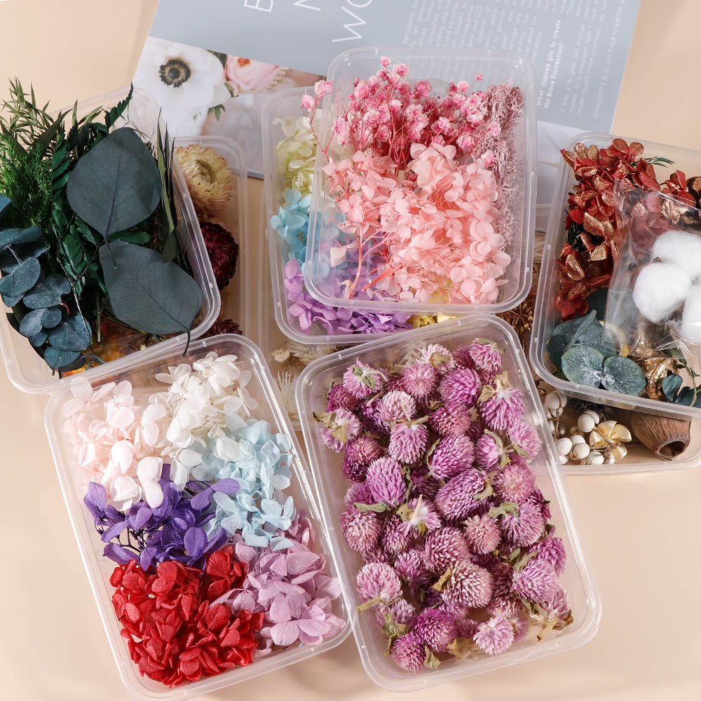 INTODIY Hot Sell Pressed Dry Flowers Naturl Mixed Random Dried Flower For DIY Epoxy Resin Craft Nail Art Materials