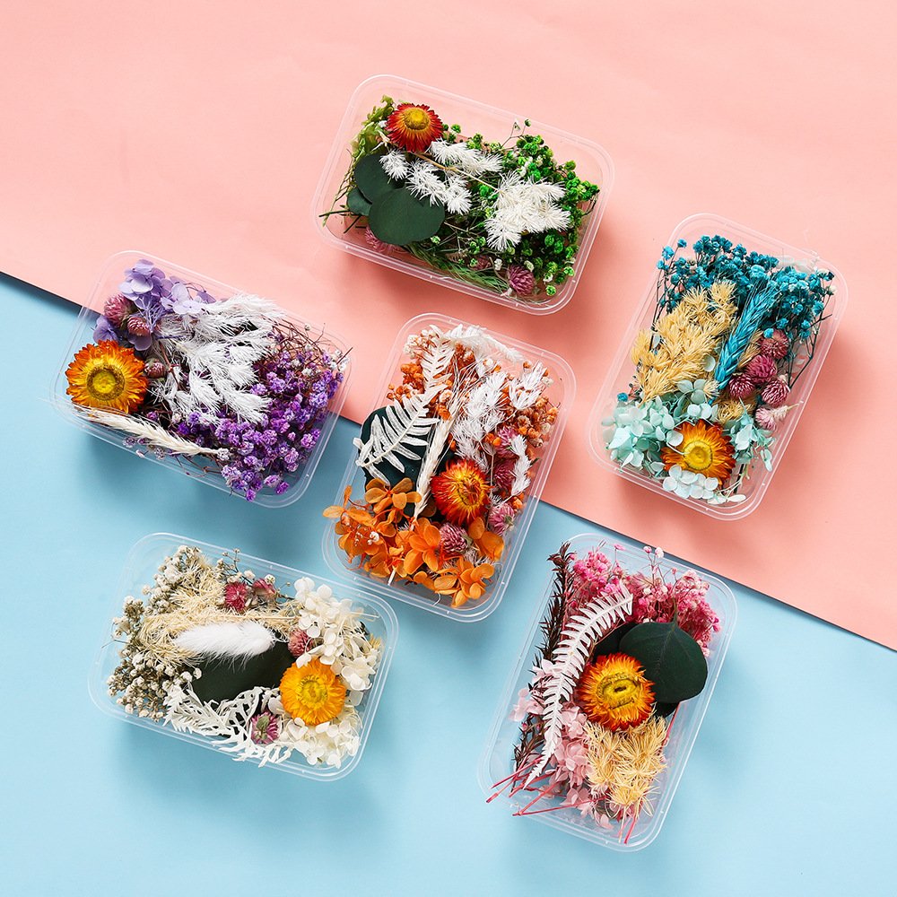 INTODIY Hot Sell Pressed Dry Flowers Naturl Mixed Random Dried Flower For DIY Epoxy Resin Craft Nail Art Materials