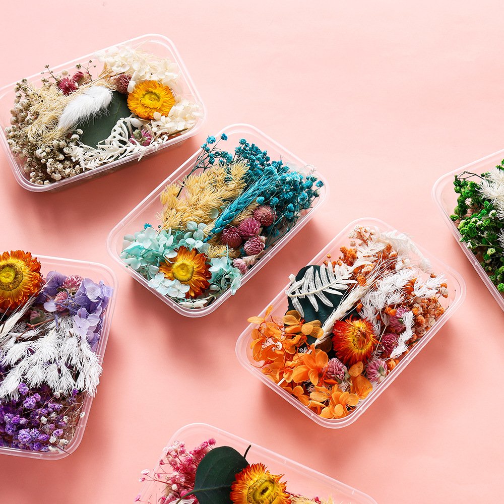 INTODIY Hot Sell Pressed Dry Flowers Naturl Mixed Random Dried Flower For DIY Epoxy Resin Craft Nail Art Materials