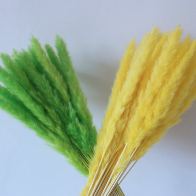 factory wholesale Eternal reed natural dried pampas centerpieces decorative Home window decoration INS shooting props