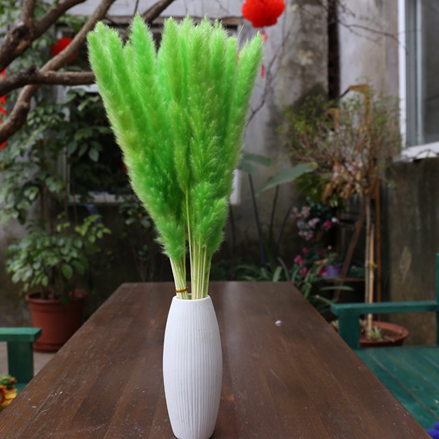 factory wholesale Eternal reed natural dried pampas centerpieces decorative Home window decoration INS shooting props