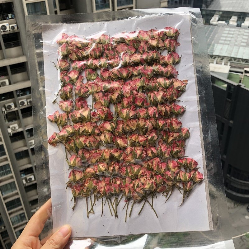 hotsale Dried flowers small pressed rose flowers with stem for DIY Phone Case Nail Art resin Postcard candle making decoration