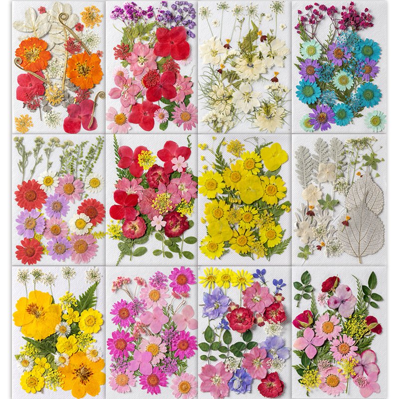 Natural Flower DIY Nail Phonecase Handmade Gift Pressed Dried Flowers for Resin